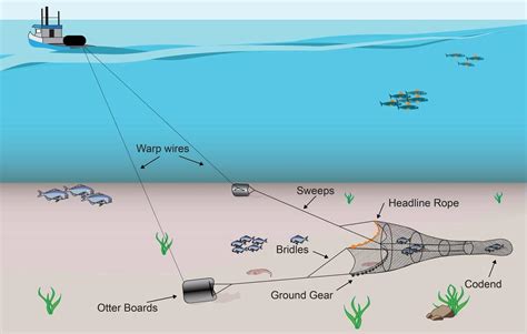 What is Bottom Trawling .